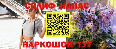 МДПВ Будённовск